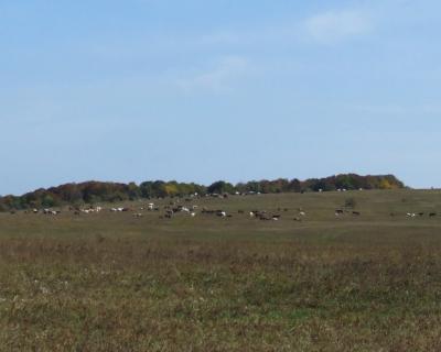 Прикрепленное изображение: DSCF5785.jpg